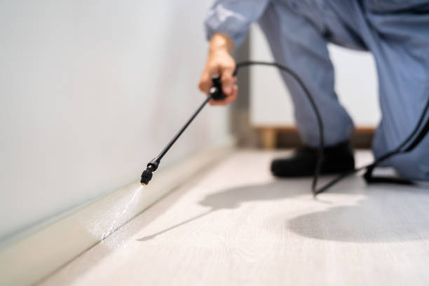 Licensed Pest Control service in Binghamton University, NY - Show Me Pest Control