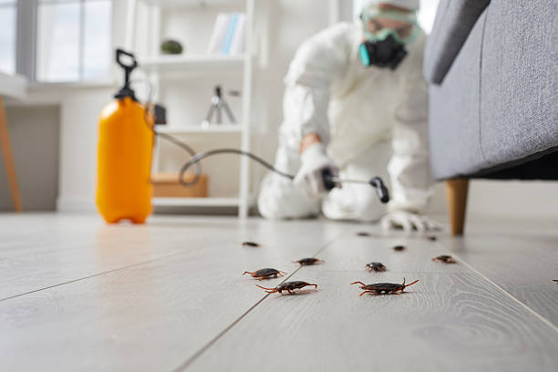 Commercial Kitchen Cockroach Control in Binghamton University